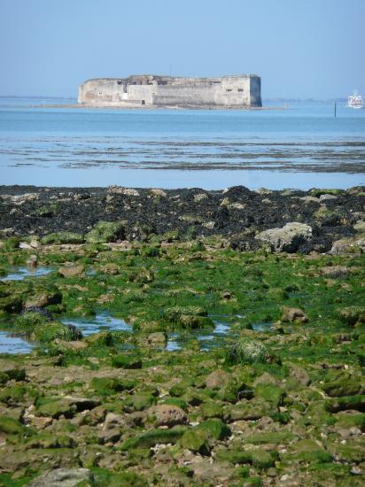 Rallye en "Charente-Maritime" 22, 23 et 24 mai 2010